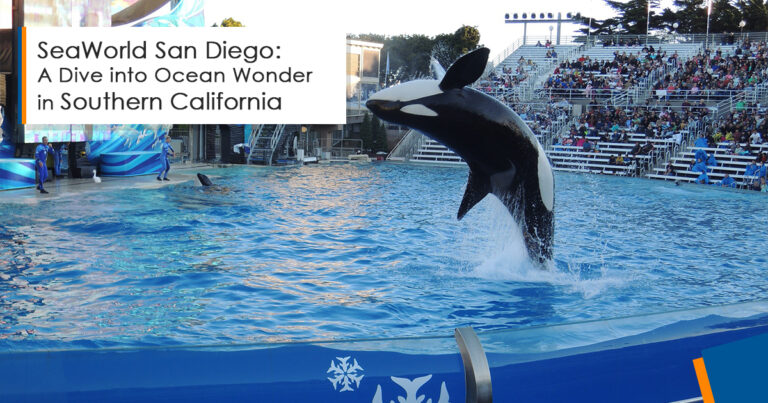 SeaWorld San Diego: A Dive into Ocean Wonder in Southern California