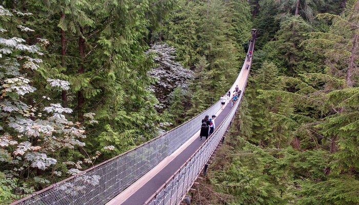Capilano Suspension Bridge surrounded by forest in Vancouver