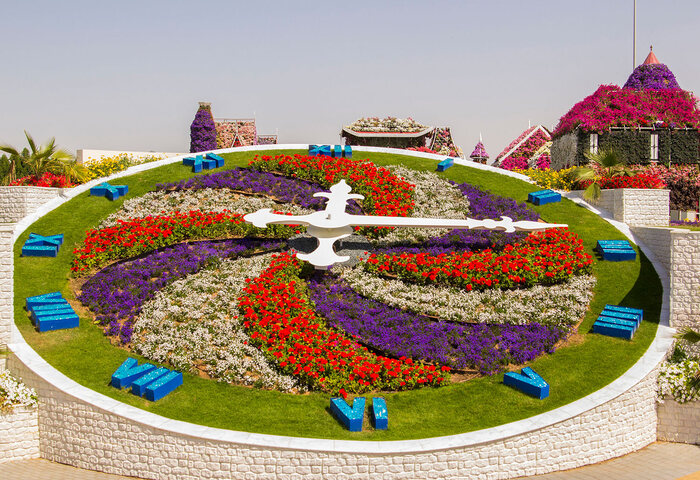 Dubai Miracle Garden – Dubai Miracle Garden world’s largest natural flower garden with colorful floral displays