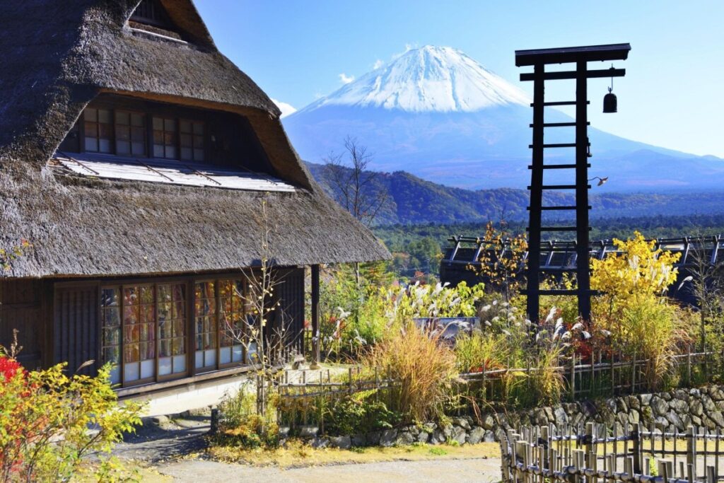  Mount Fuji and Hakone – Scenic Natural Beauty