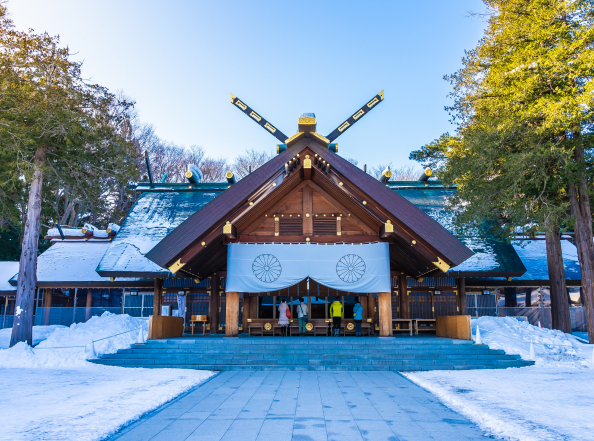 Arctic Holiday Packages