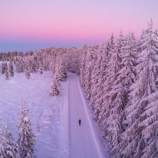 Arctic Tour Packages