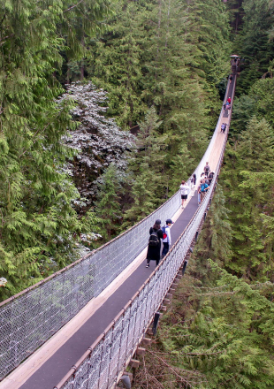 Capilano Suspension Bridge
