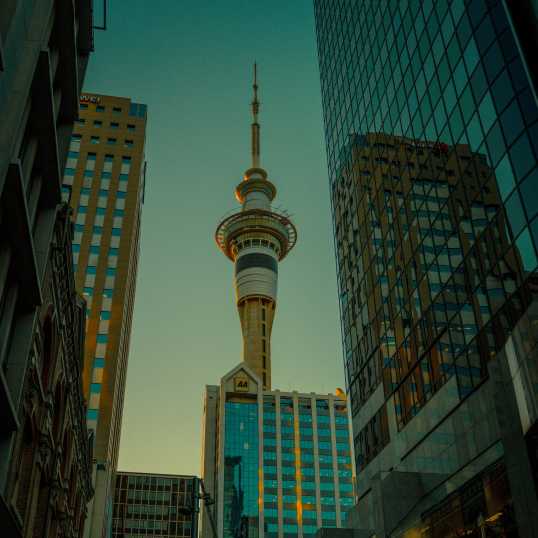 New Zealand Tour Packages