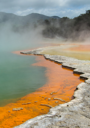 Wai-O-Tapu Thermal