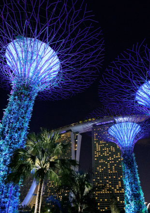 Garden by the Bay