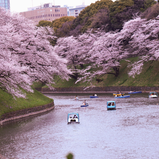 Japan tours