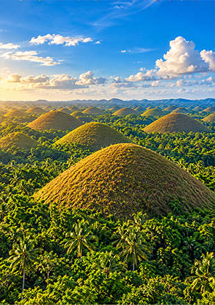 Chocolate Hills in Bohol