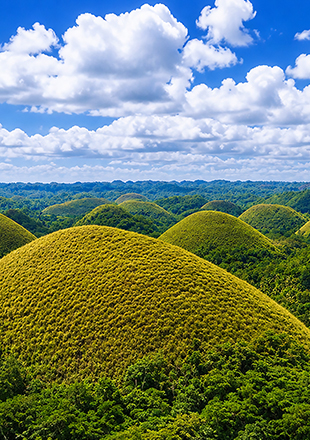 Chocolate Hills in Bohol