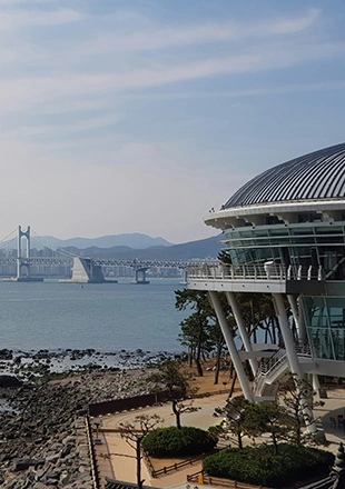 Nurimaru APEC House